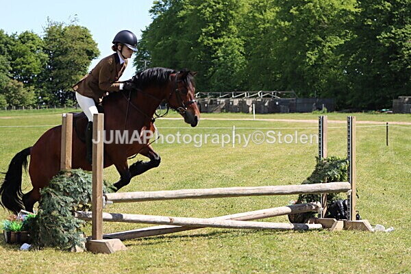 IMG_3719 - Working Hunter