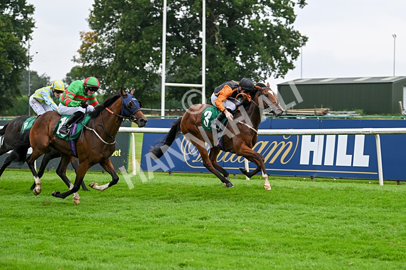 070924-Race 2-Cymbidium-7162 - Race 2