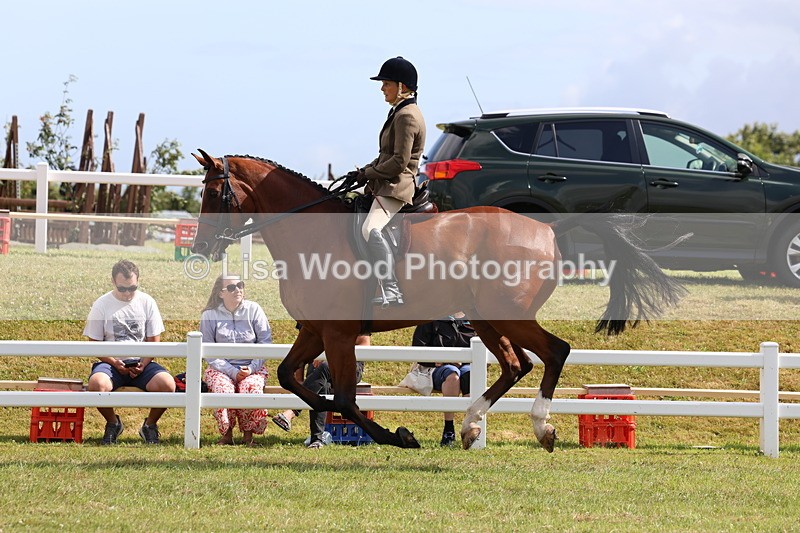 3E7A9377 - Class 4: Rising Star M/H Hunter