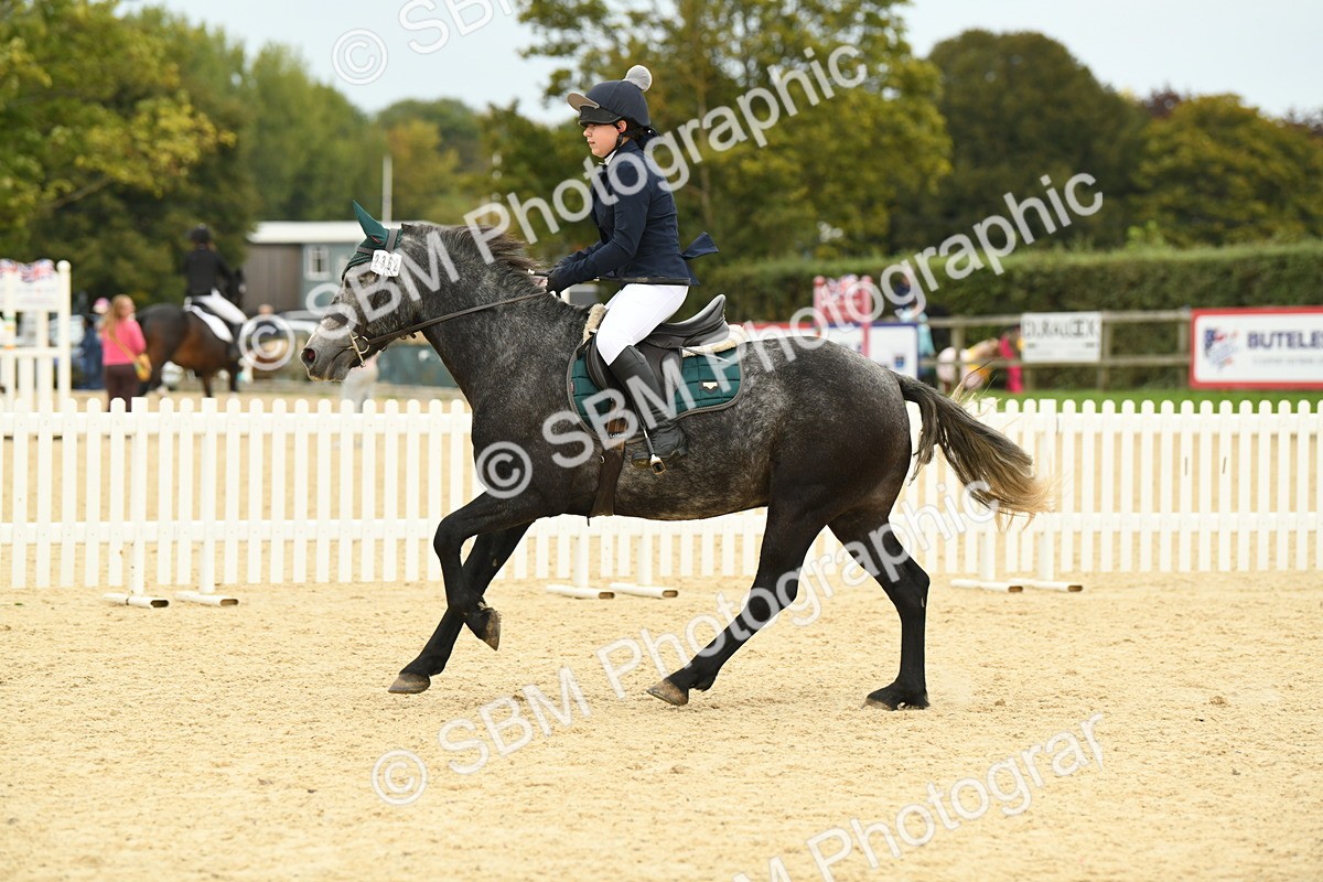 SBM_73053 - J16 - Junior Pony 75cm Championship