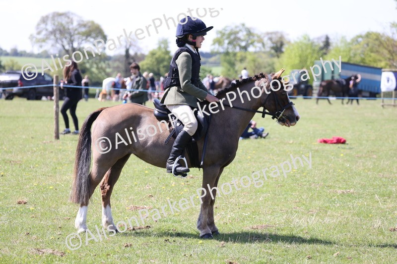 20250427-3296 - Class 33 - Best Pony 14.2hh and Under