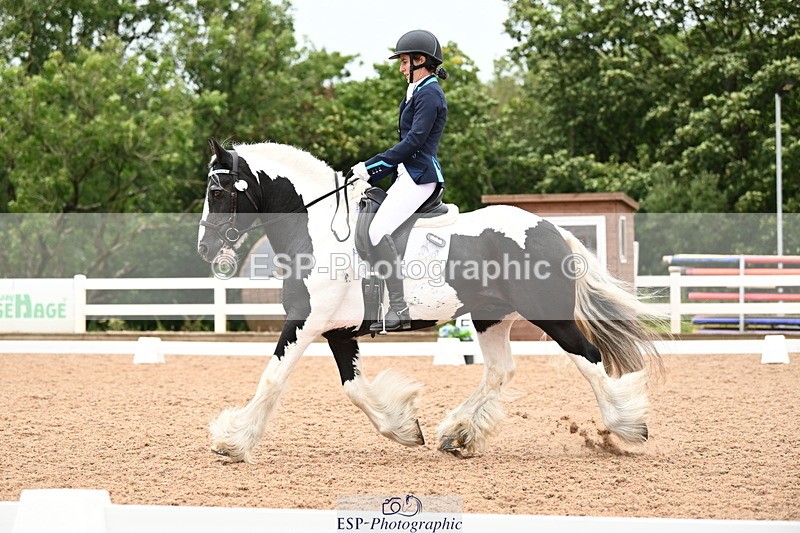 240815A-142920-02054 - 276-Alys.Matravers-Tiger.Tim