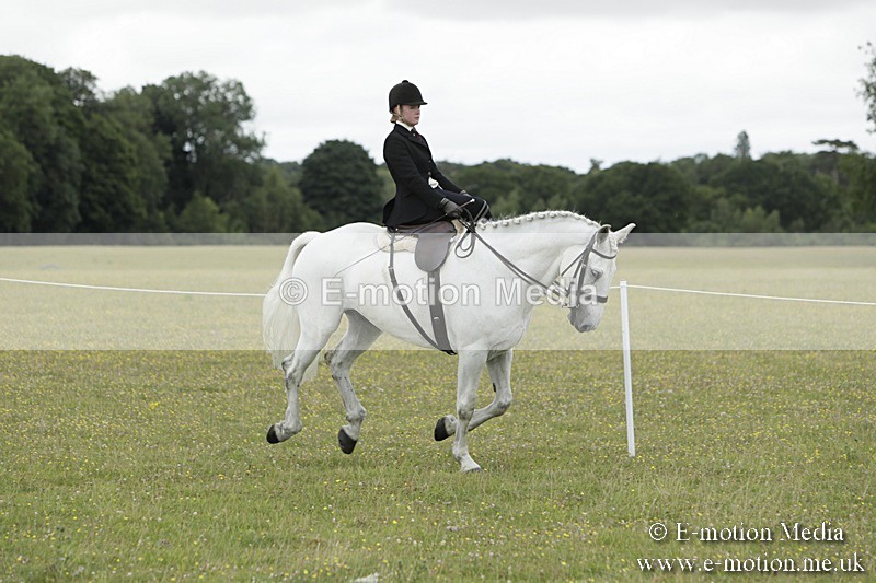 BVR160717-2355 - Side Saddle Classes 16/07/17