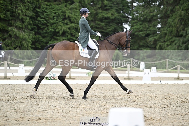 000101-212623-04304 - 412-WELLFIELDS_LINCOLN-Susie_Berry