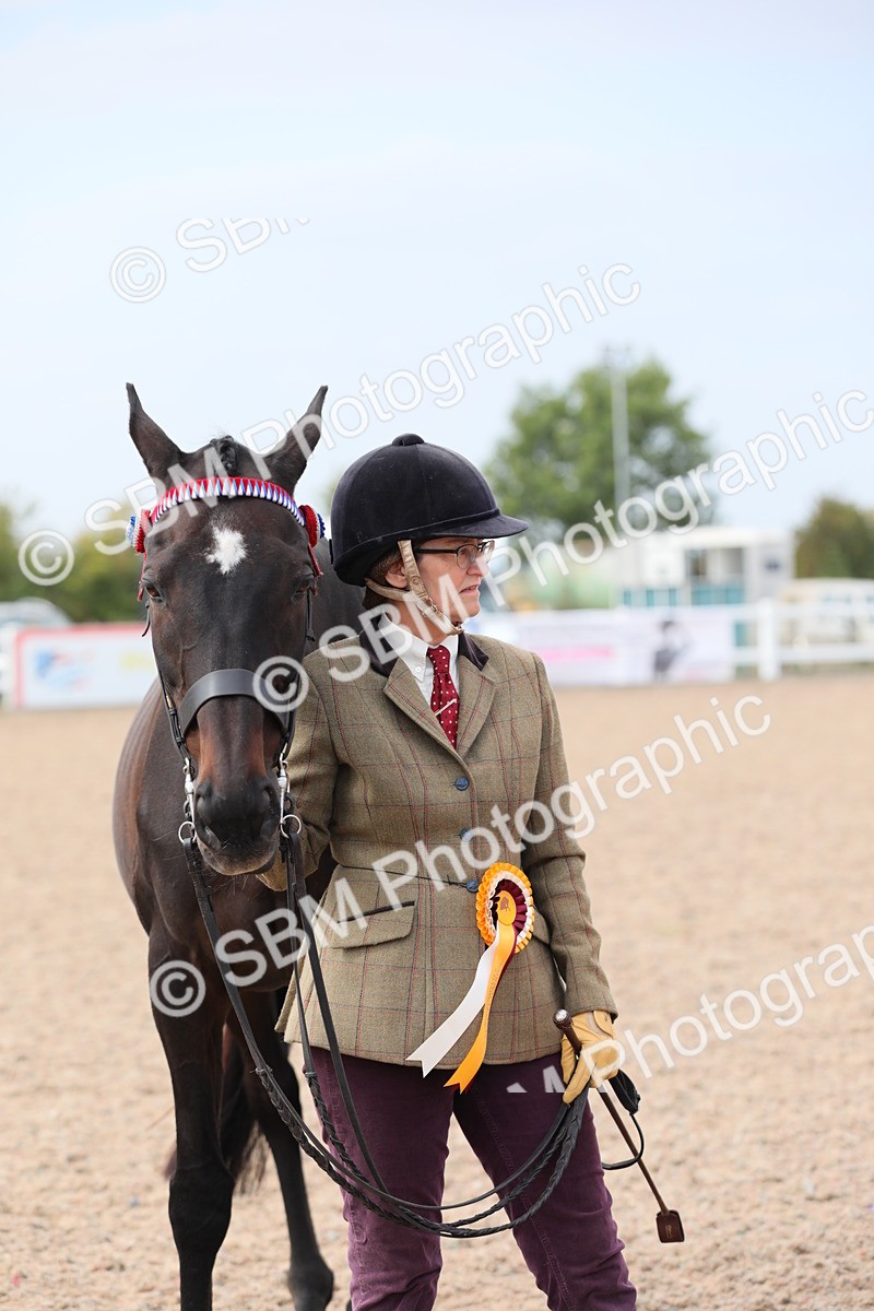 SBM_15975 - Class 313 IH Retired Racehorse