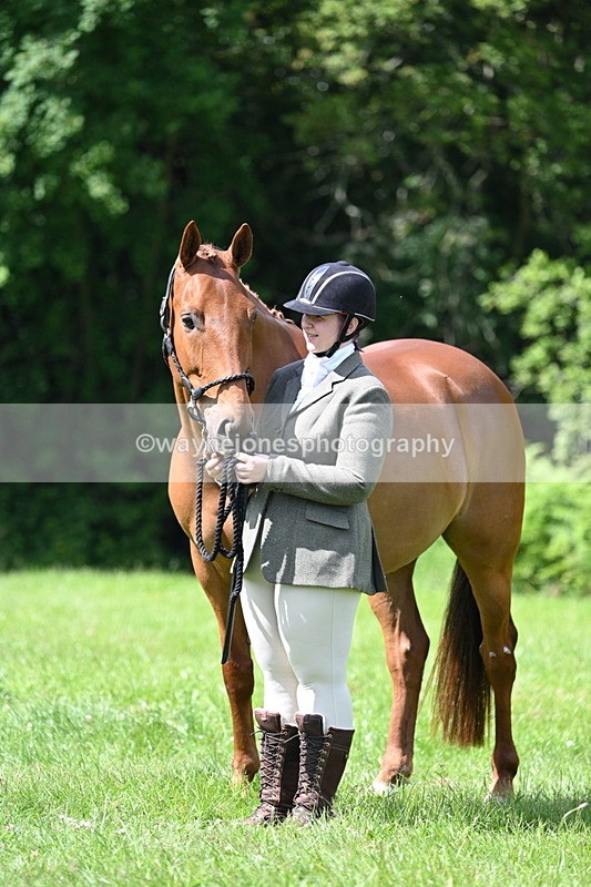 WJ7_1485 - Class 11 Condition & Turnout