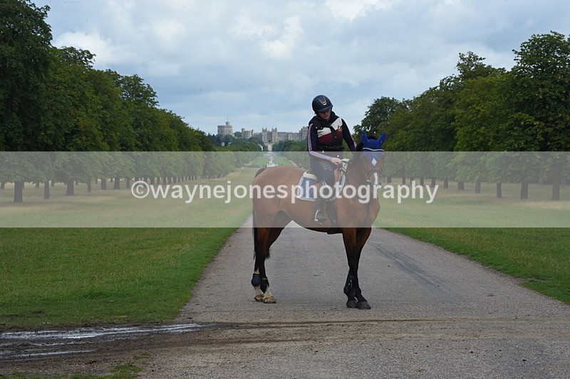 TT3_8993 - Time at Crossing 09:22 to 11:26