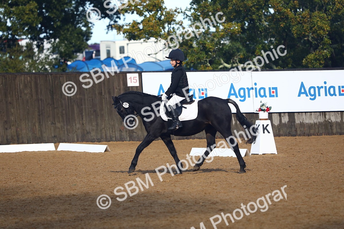 SBM_38909