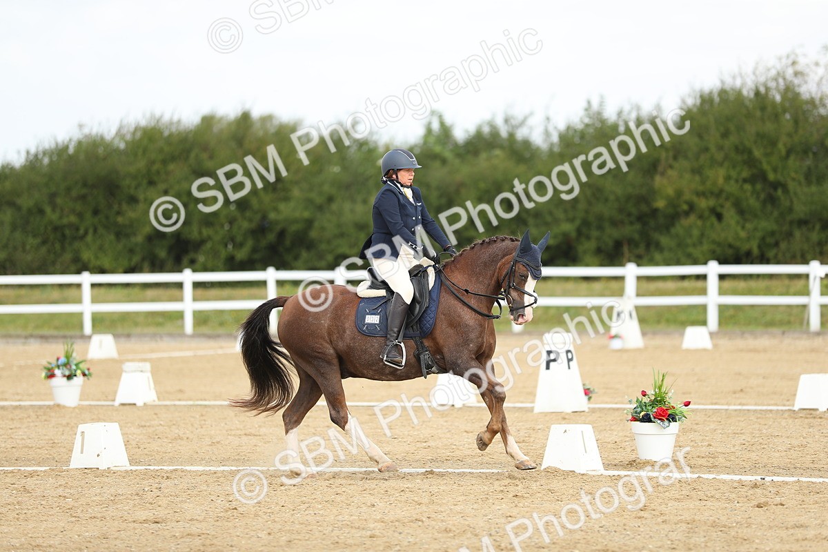 SBM_016303 - Class 13 - Novice 23 - 11.25-12.35