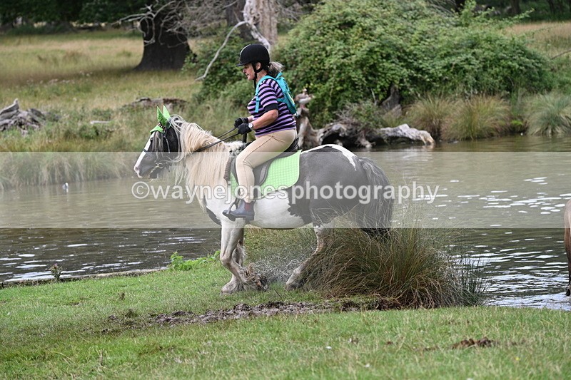 WJ7_2274 - Time at Water 11:14 to 11:36