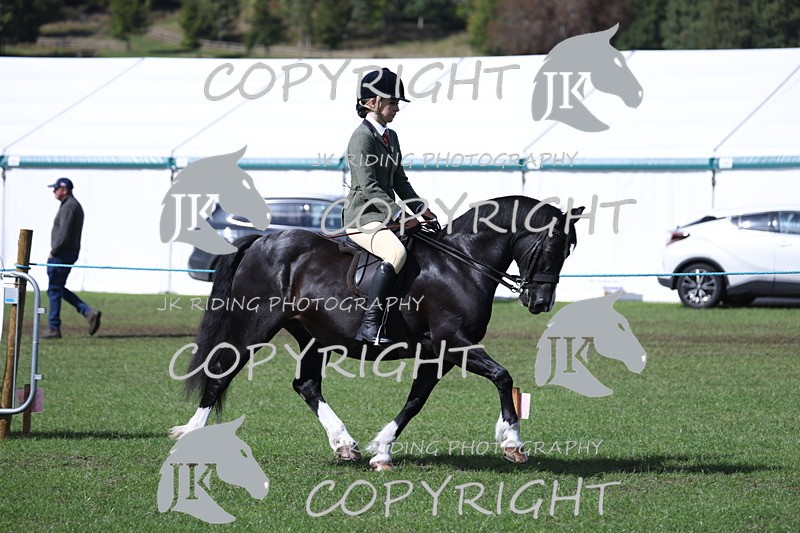 APP_3494 - Class 12 M&M ridden