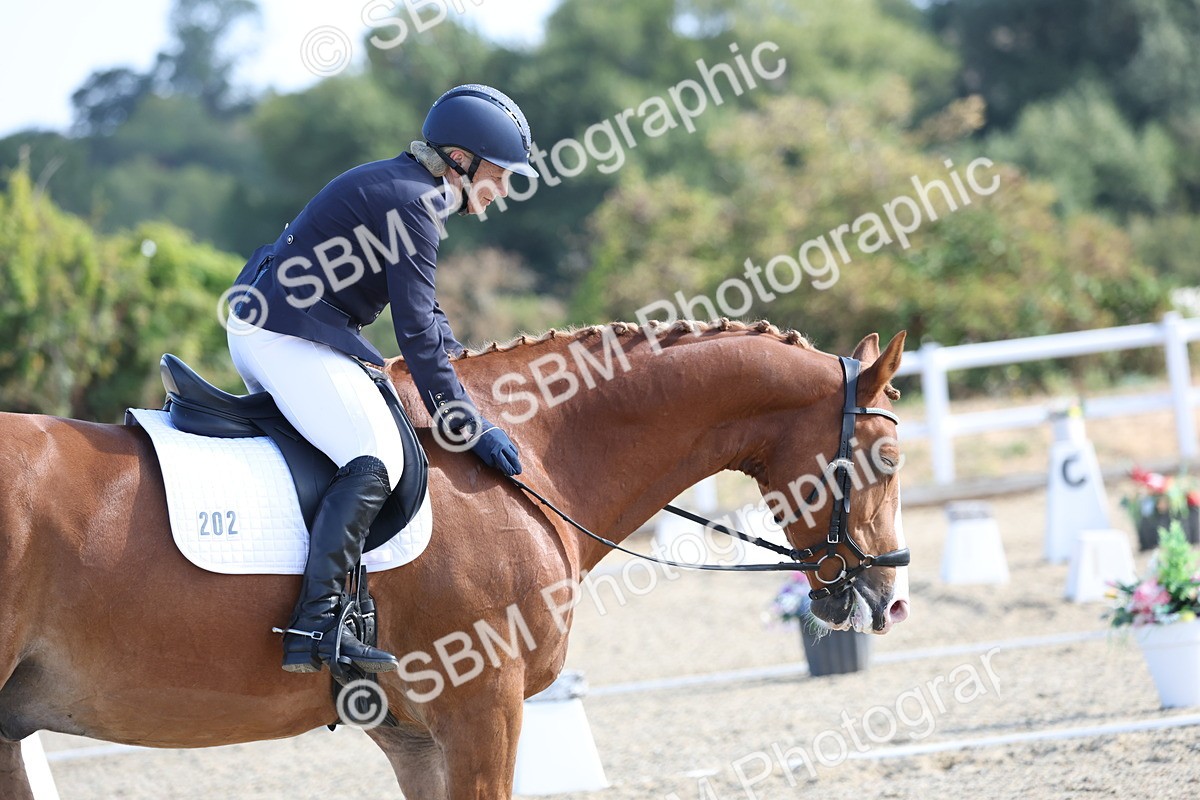 SBM_020234 - Class 21 - M5 Bronze 9.30.10.34