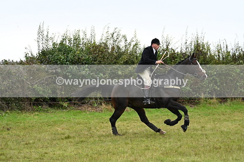 WJ7_4054 - Camera 1 Line 2