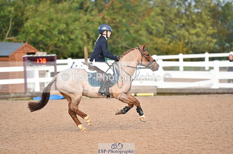 231028A-102252-00396 - Cls 1 Pony 70cm