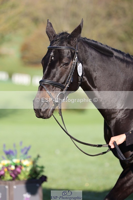 241027-085556-14904 - 463-Ilaria.Serra-FOXBURY.STORMBORN