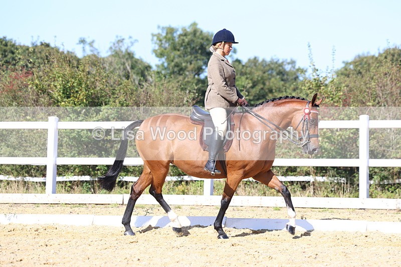 3E7A5692 - Class 10: Riding Horse