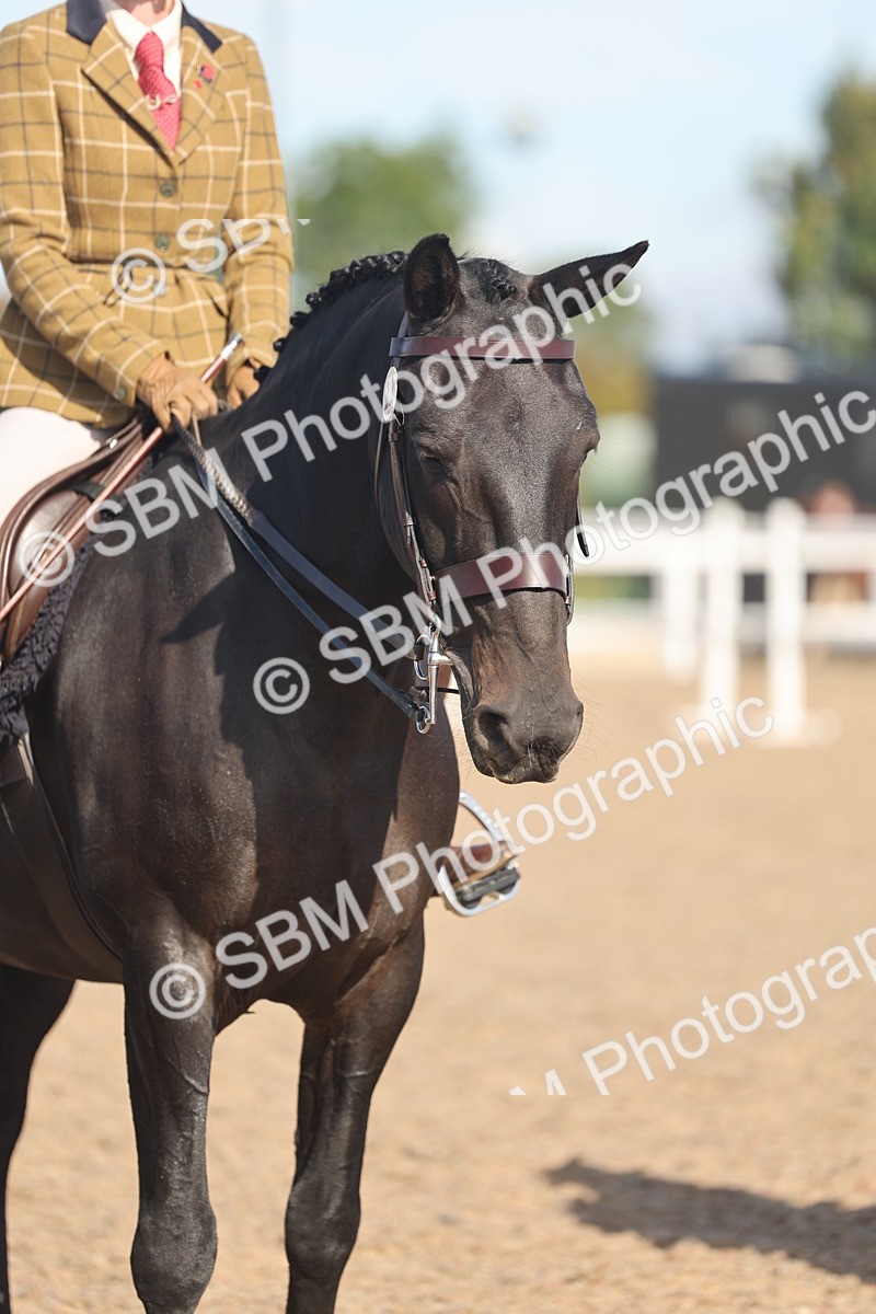 SBM_12393 - Class 304 - Ridden part Bred Horse Pony