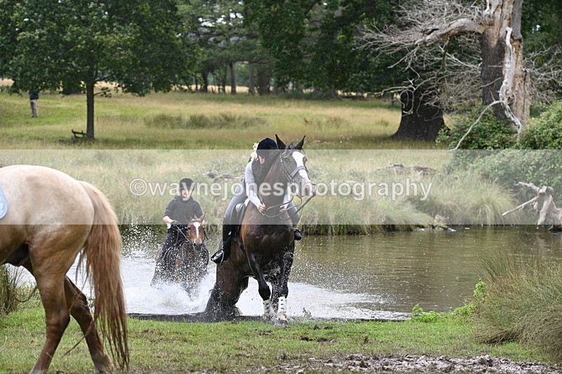 WJ7_5391 - Time at Water 14:00 to 14:53