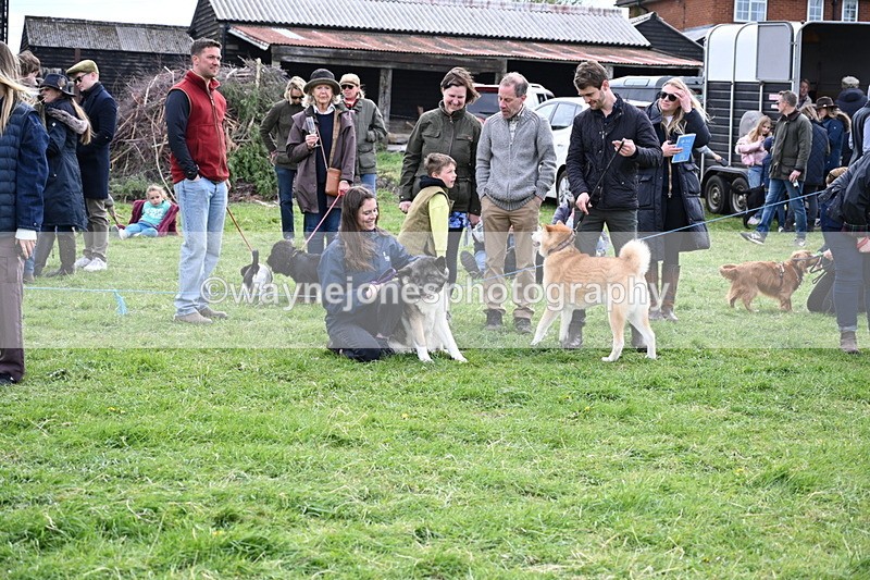 WJ6_8465 - Class 6 Best Rescue