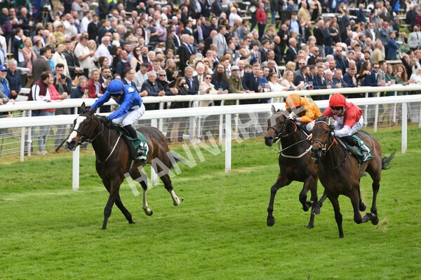 yr13052022r3-28 - Race 3 3.00pm Paddy Power 'I Love Steak' Stakes