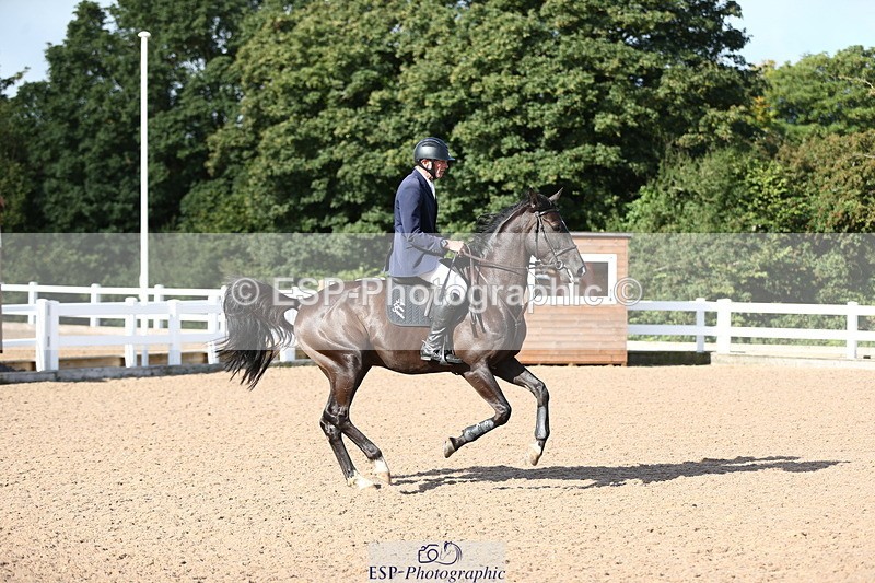 230811A-090558-02784 - Cls 13 A&B Snr Brit Nov & 90cm Open