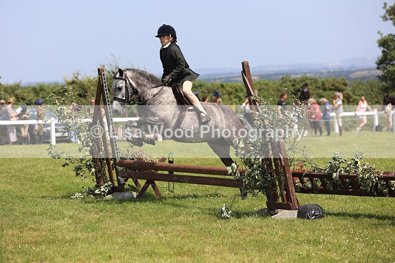 JPP_2608 - Class 21: Working Hunter 60cm