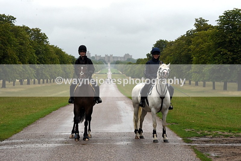 TT3_8191 - Time at Crossing 09:15 to 10:15