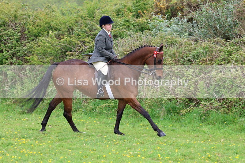 3E7A1732 - Class 9: Riding Club Horse/Pony