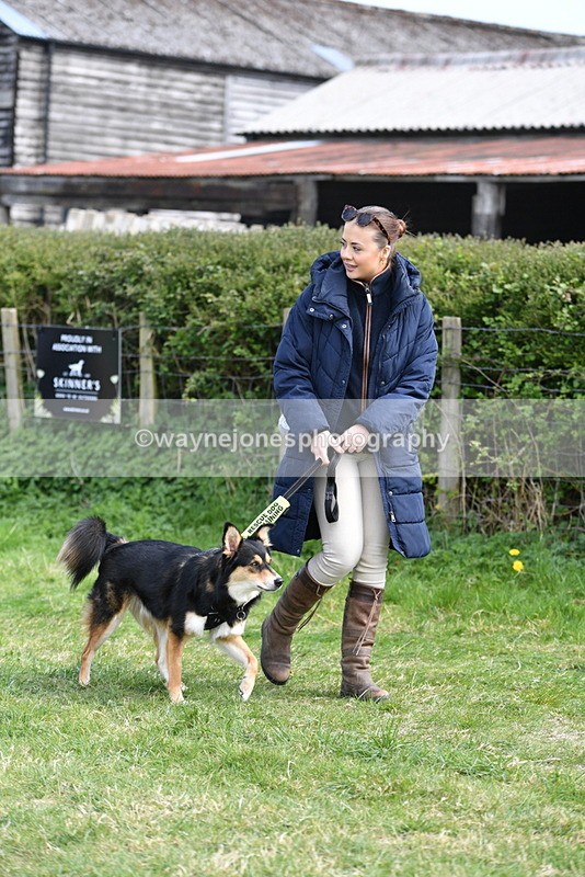 WJ5_0763 - Best in Show Championship