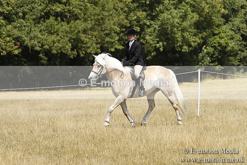 _BS_0813 - BVRC Show 2018 Ring 1