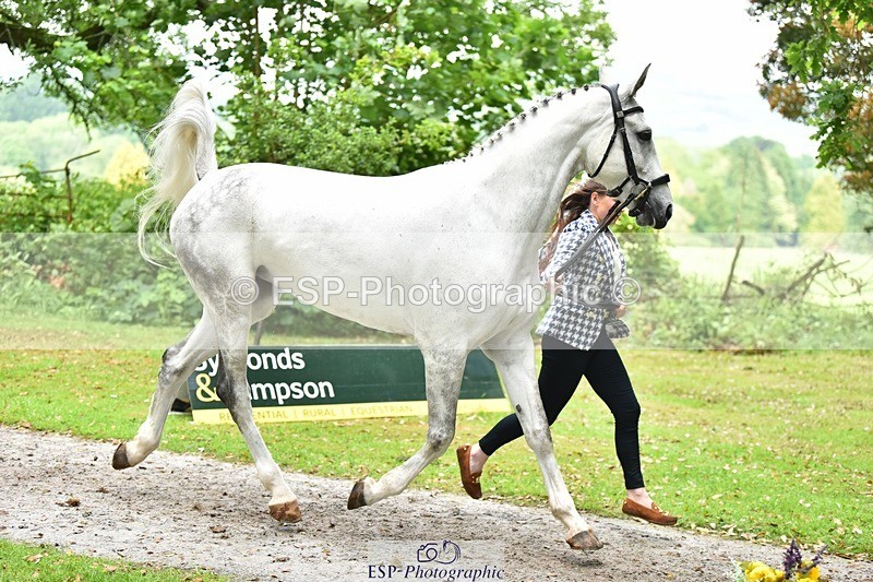 240522-170800-01410 - 239-KATE_BLUE-Millie_Juleff