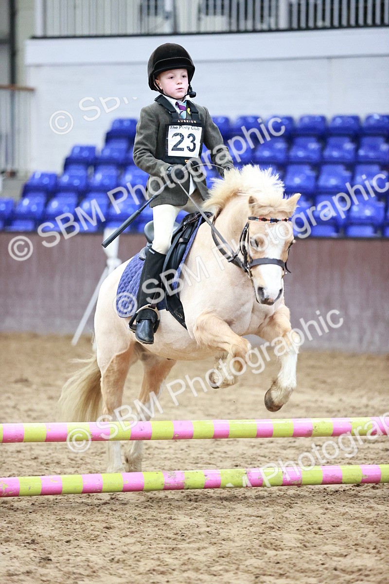 SBM_000392 - Class 2 - Show Jumping 50cm