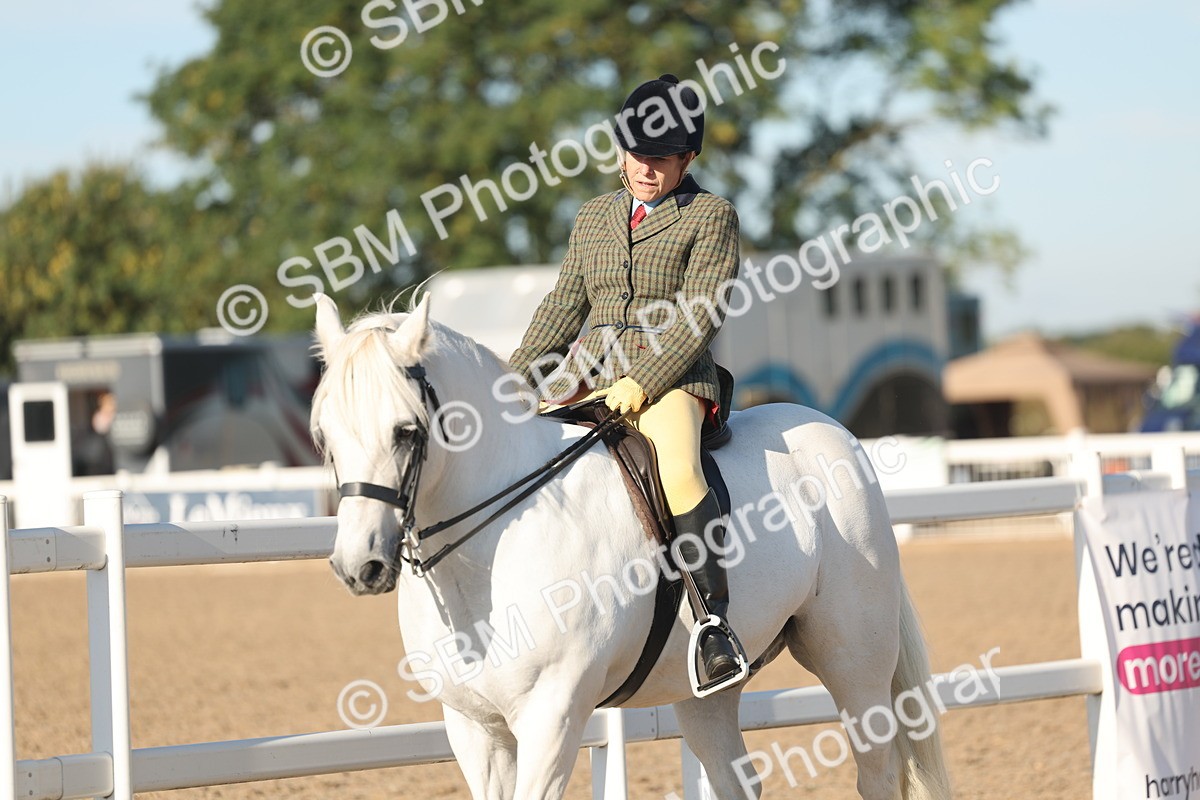SBM_11043 - Class 302 - Ridden M&M Large Breeds
