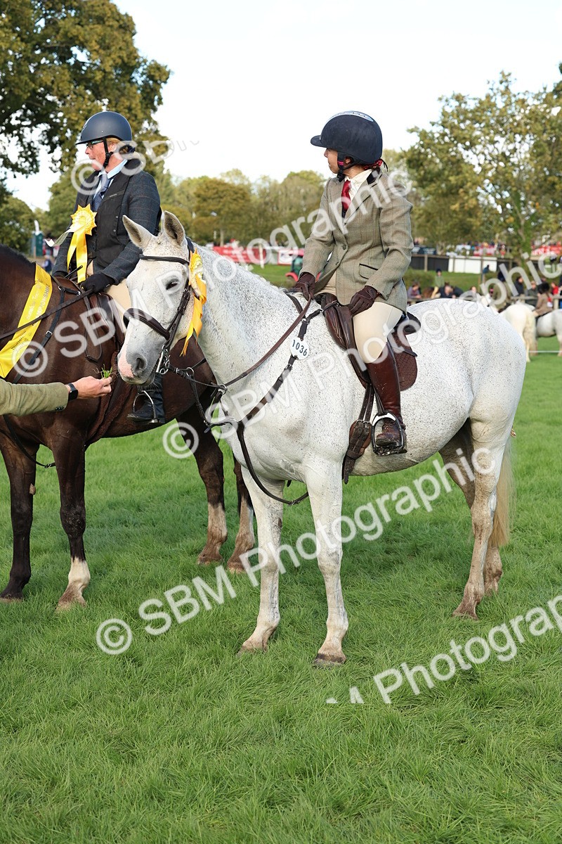 SBM_50196 - S34 - Novice & Newcomers Working Hunter