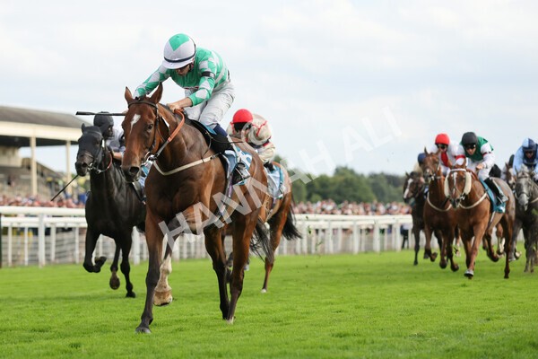 yr04092022r6-34 - Race 6 4.40pm Hanson Springs Stakes