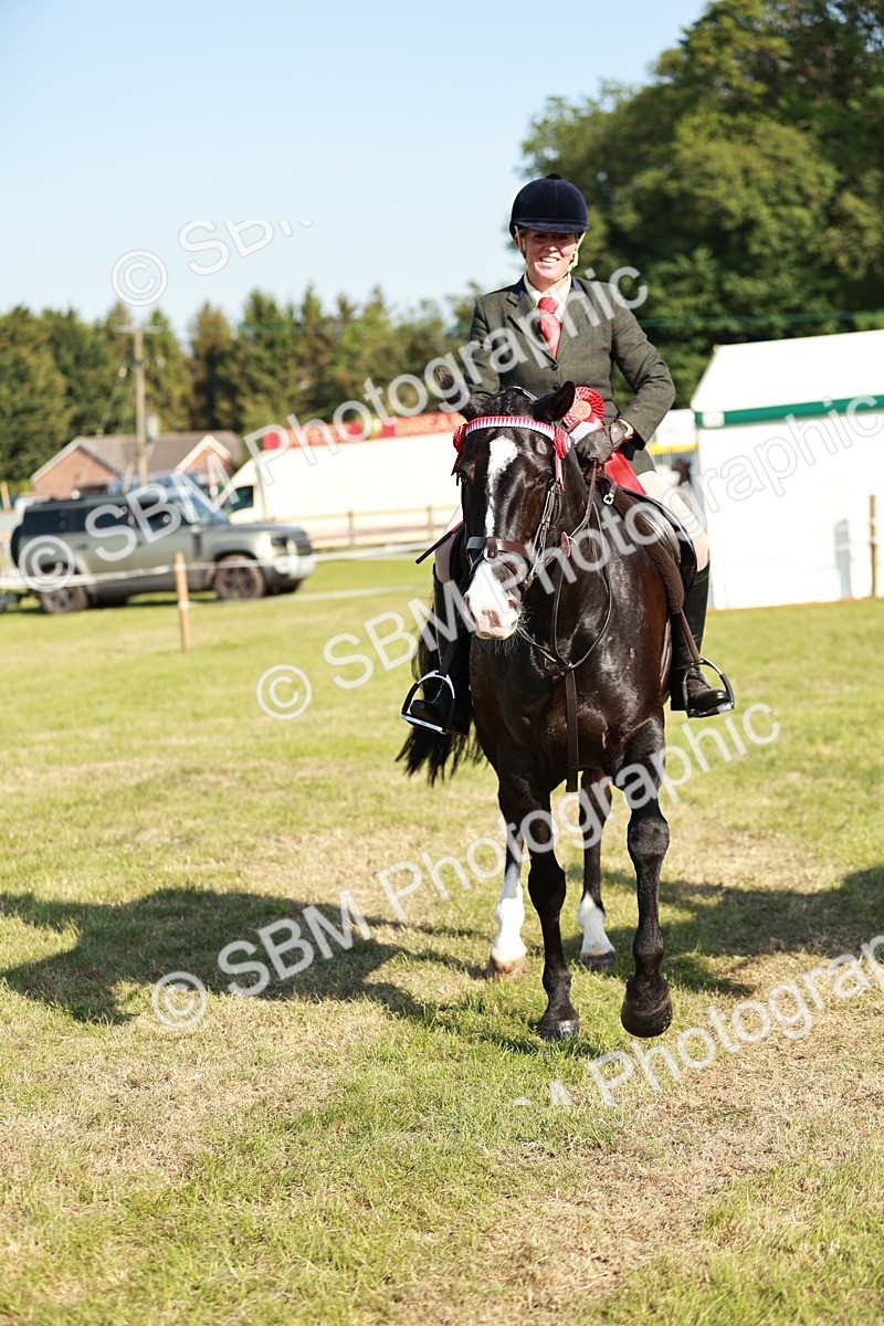SBM_19327 - Class 115-116 - LIHS BSHA Rising Star Working Hunter & Show Horse