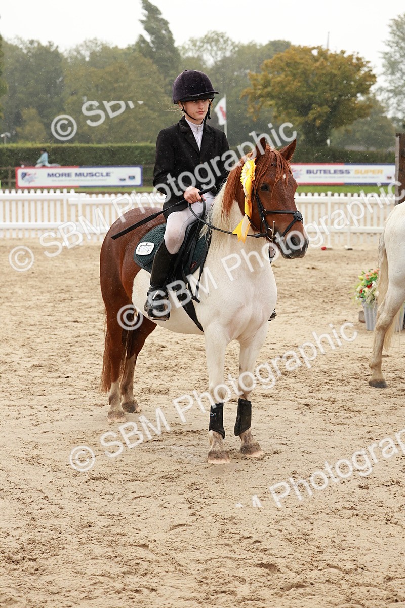 SBM_72308 - J14 - Junior Pony 65cm Championship