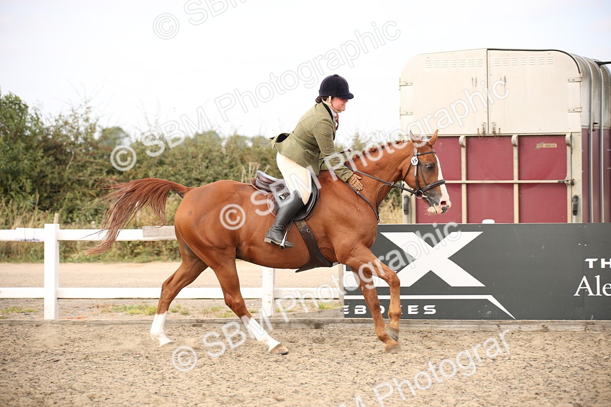 SBM_17330 - Class 410a - Wor5king Veteran 90cm (15-19)