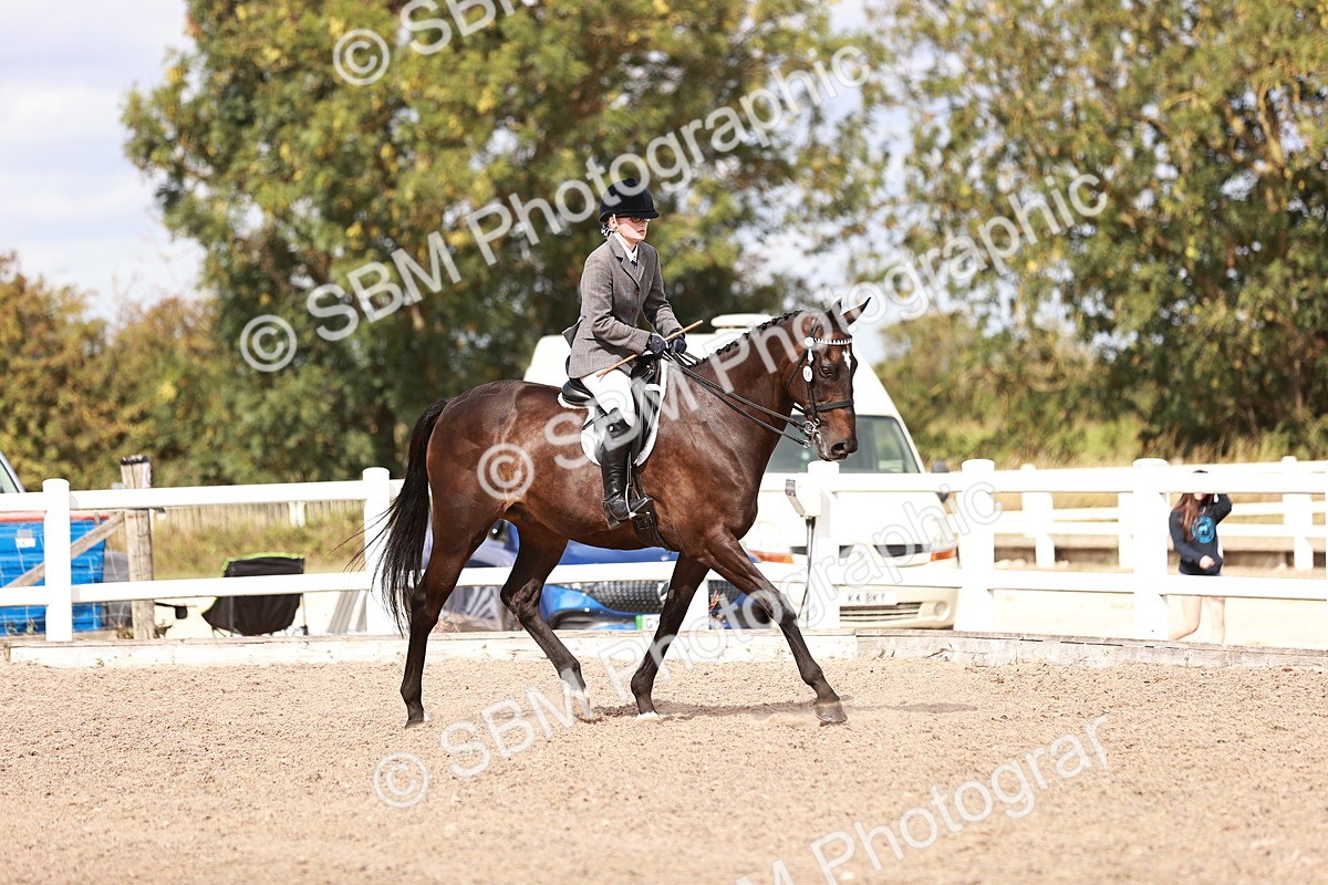 SBM_14419 - Class 410 - Grassroots Ridden - Horse