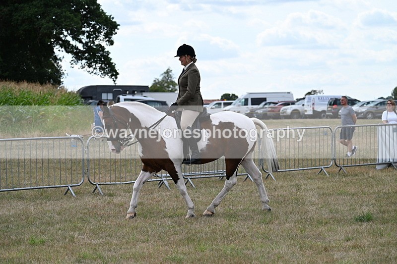 WJ7_4993 - Class 12 Ridden Cob