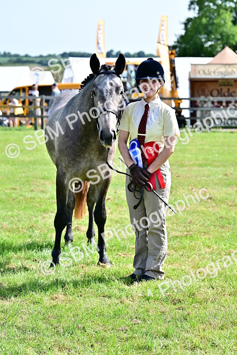 SBM_03365 - Class 50 - 54 Light Horse Breeding