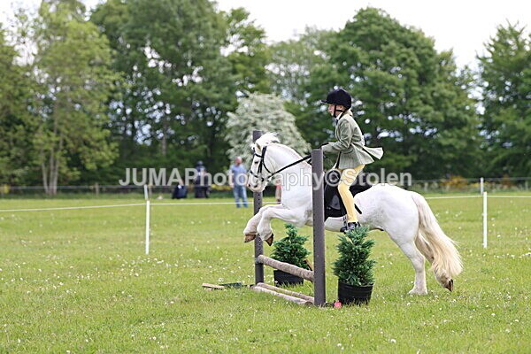 IMG_2538 - Working Hunter