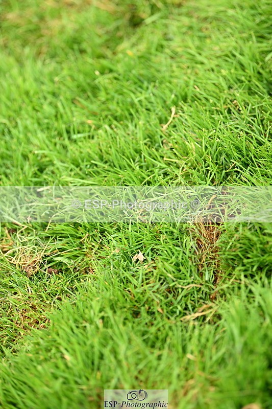 250706A-102221-17282 - Cls 43 Snr 1.30m Grand Prix