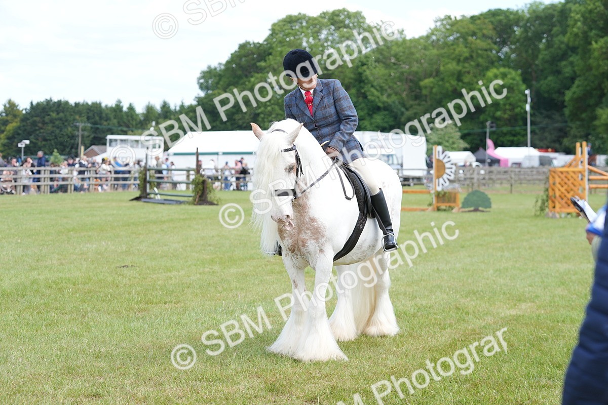 SBM_17173 - Class 107-108 - LIHS BSPS Performance Coloured Horse Pony
