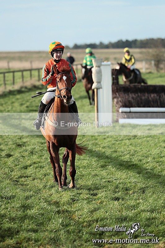 PtP 141225  1181 - New Forest Hounds PtP Larkhill 14/12/25