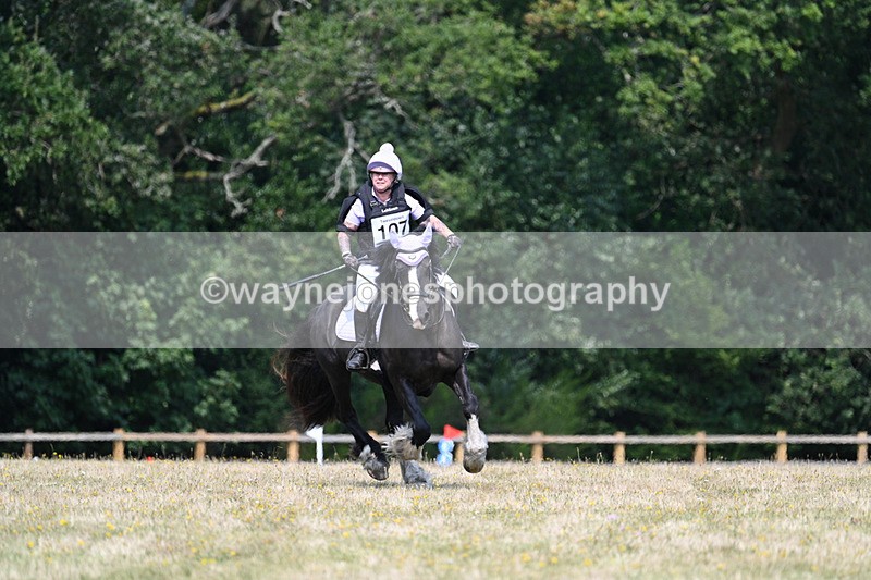 WJ7_2635 - 60cm Time 13:21 to 13:28