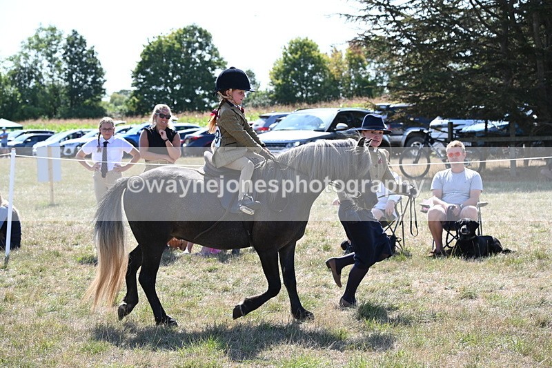 WJ6_7804 - Class 36 Lead Rein