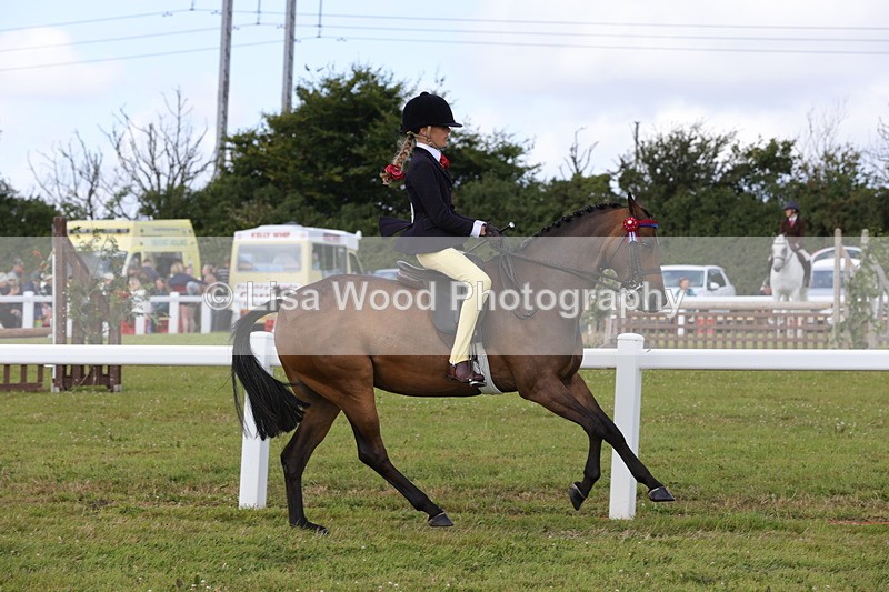 1X9A3905 - Class 31: Show Pony 148cm and under