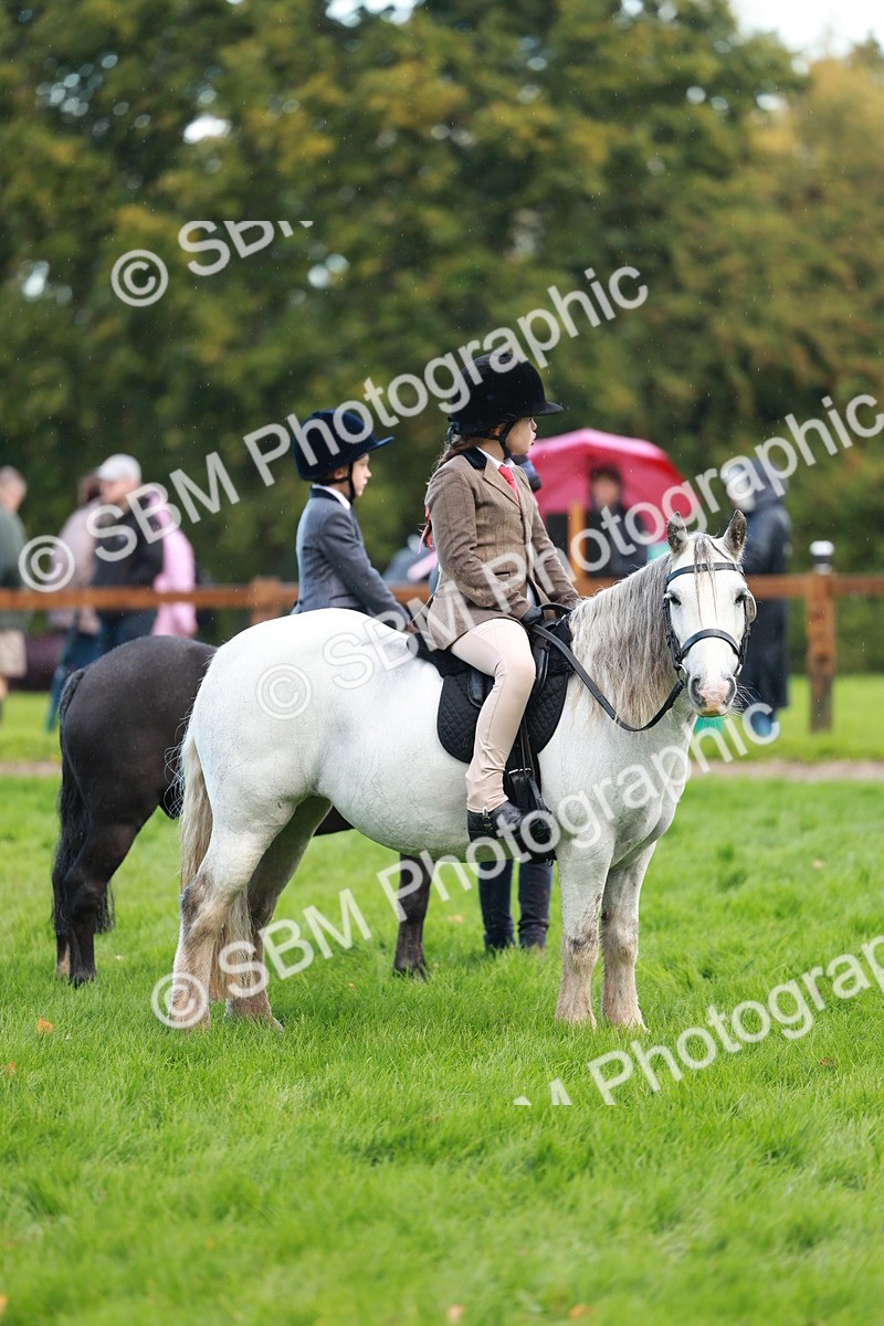 SBM_37038 - S11 - Best Ridden Horse & Pony