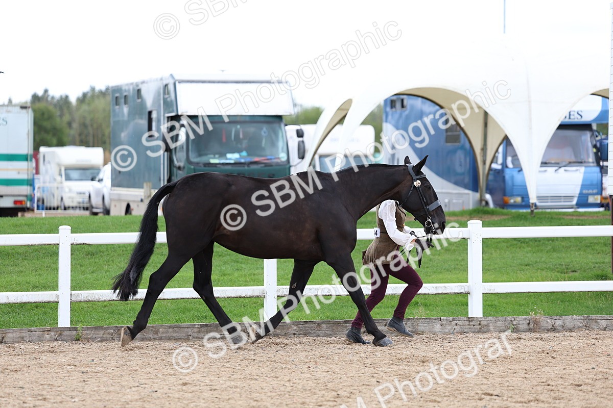 SBM_05044 - Class 27 - IH Competition Horse or Pony